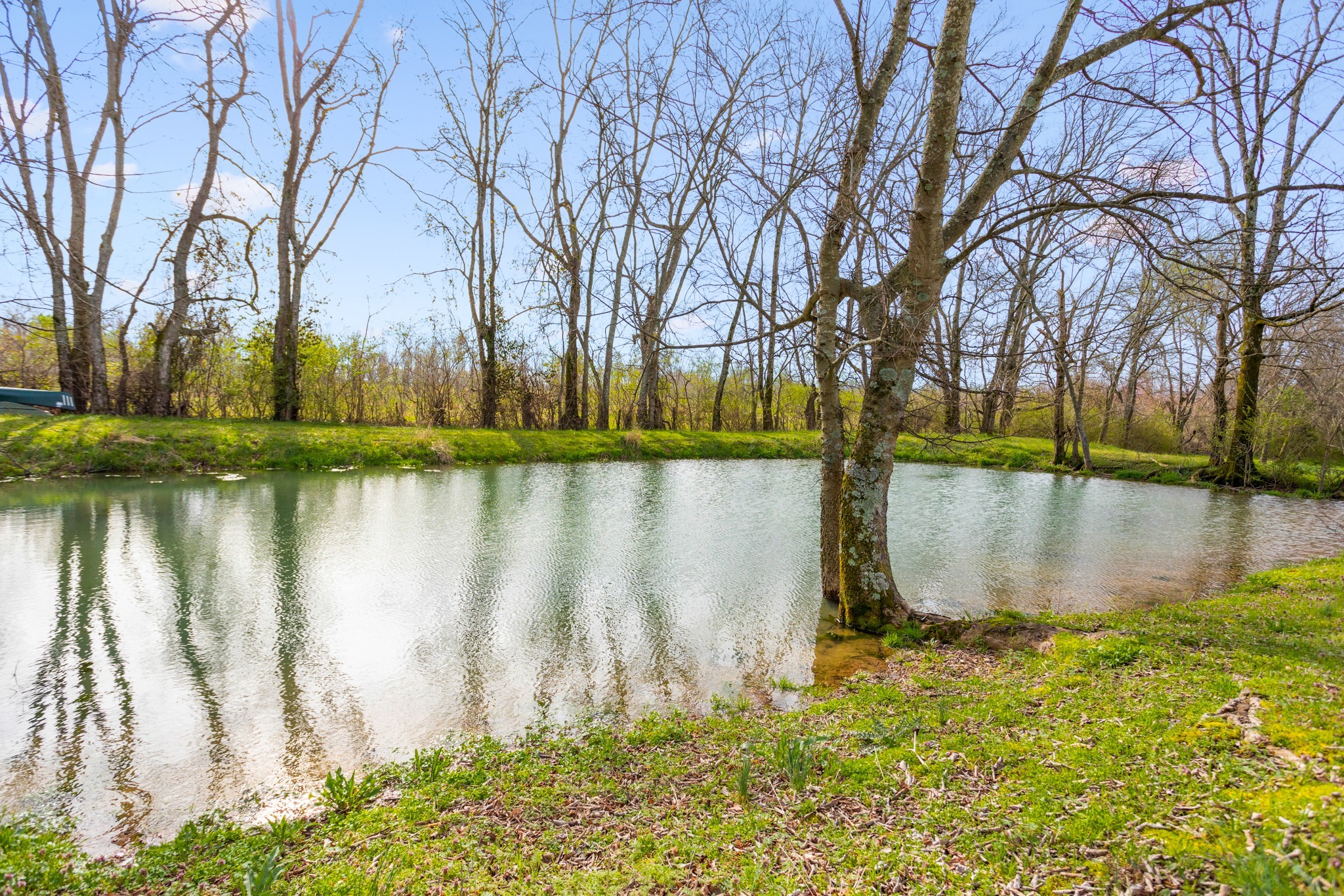 2833 Thompson's Station Road East Thompson's Station, TN 37179 - Photo 27 of 38 a lake view with a large tree