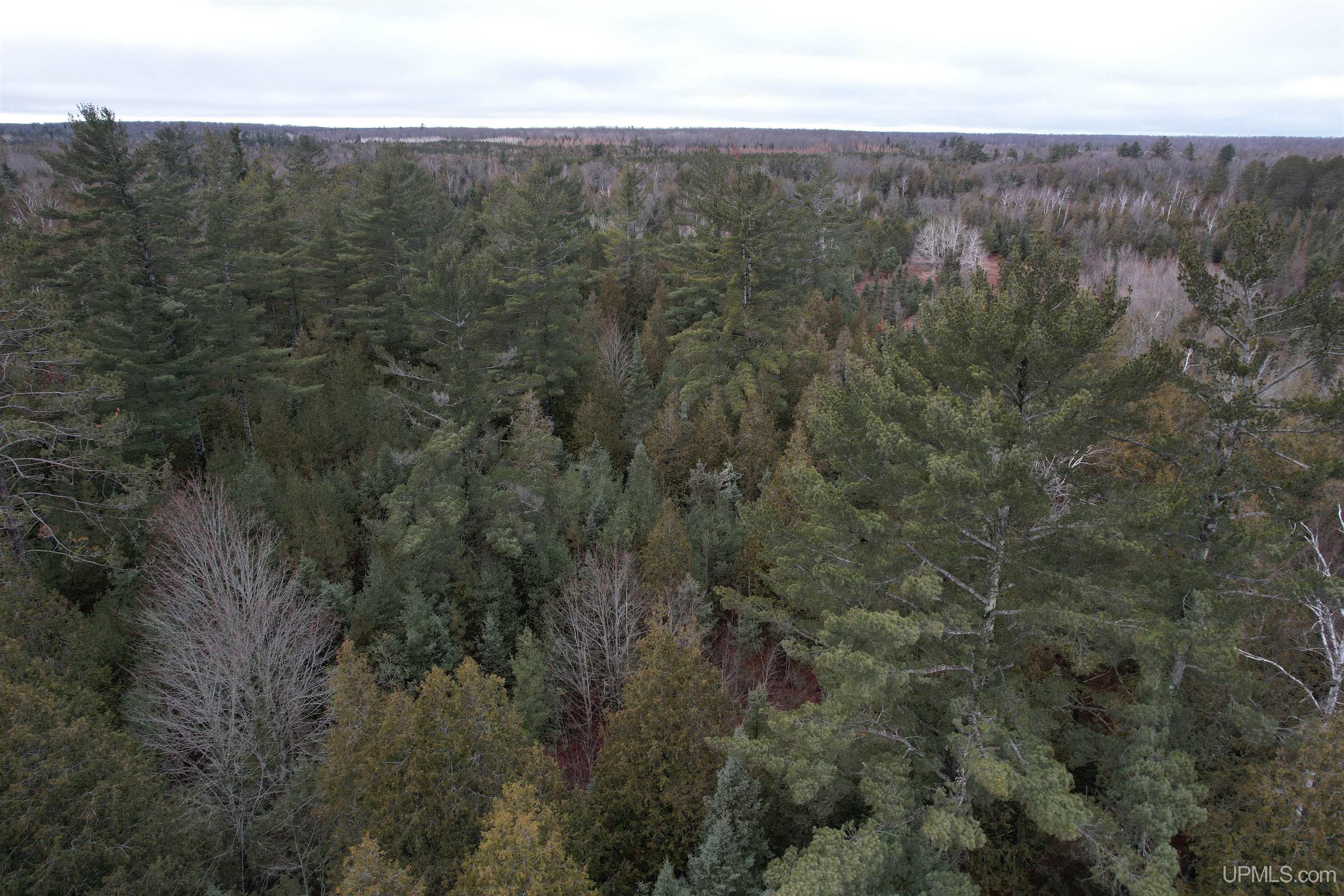 Tbd County Rd S C Road Cornell, MI 49818 - Photo 29 of 33