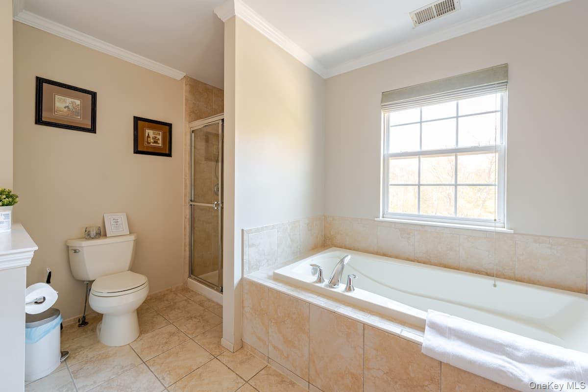 1 Brittany Court Ridge, NY 11961 - Photo 23 of 40 a bathroom with a toilet and a bathtub