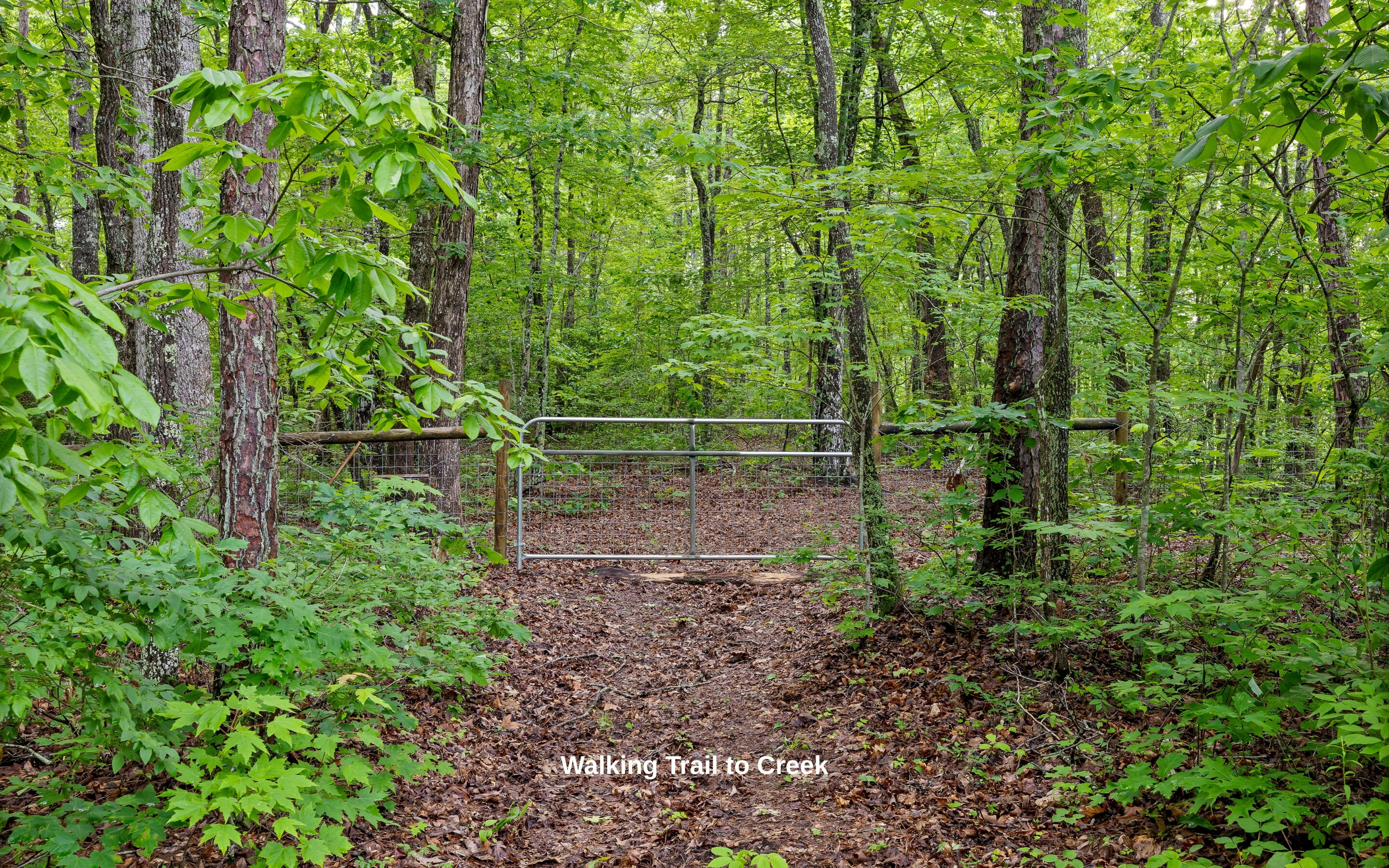 266 Beaten Path Signal Mountain, TN 37377 - Photo 60 of 76 60
