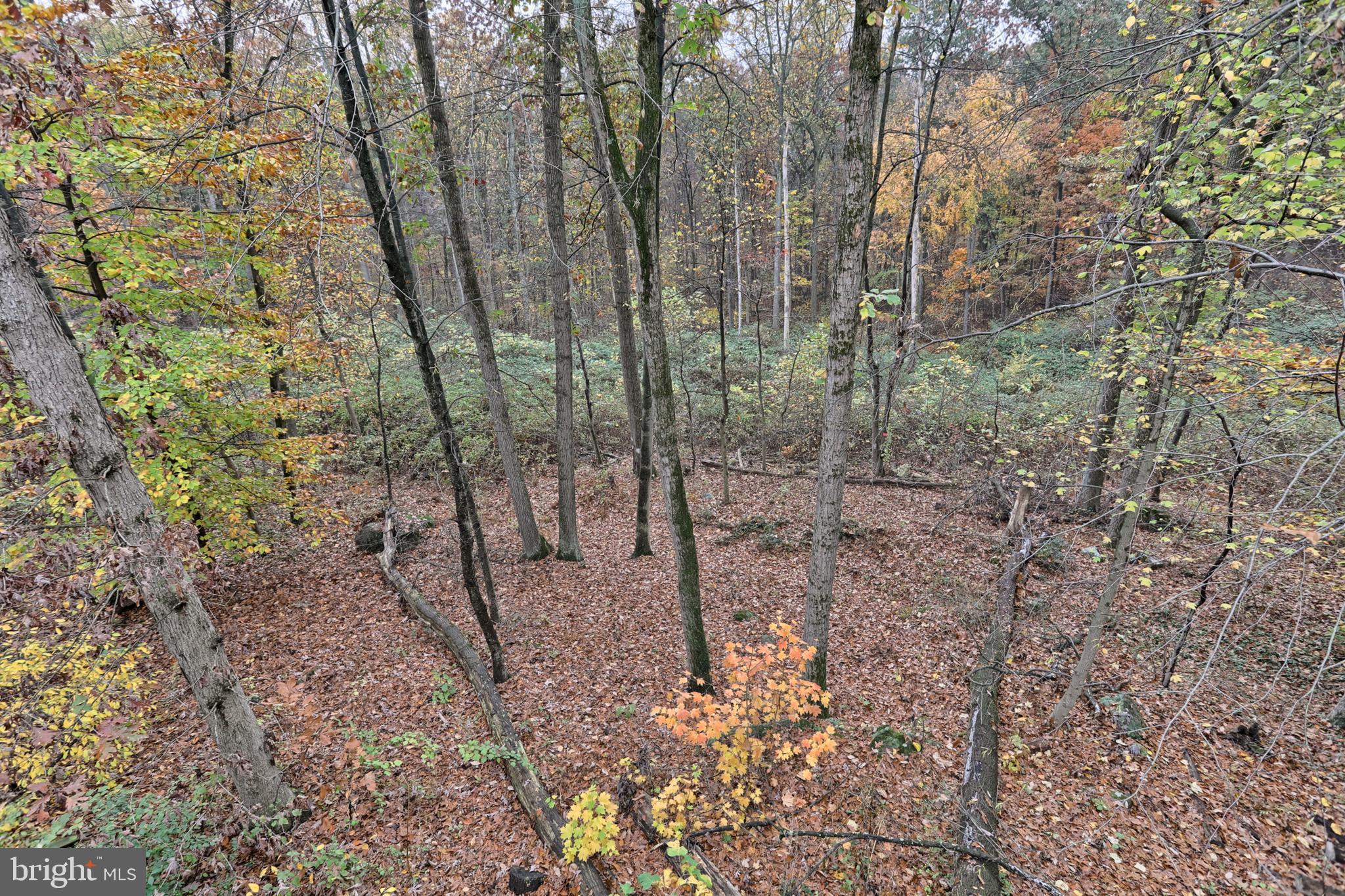 143 Timber Lane Lebanon, PA 17042 - Photo 18 of 56 Gallery Image 18