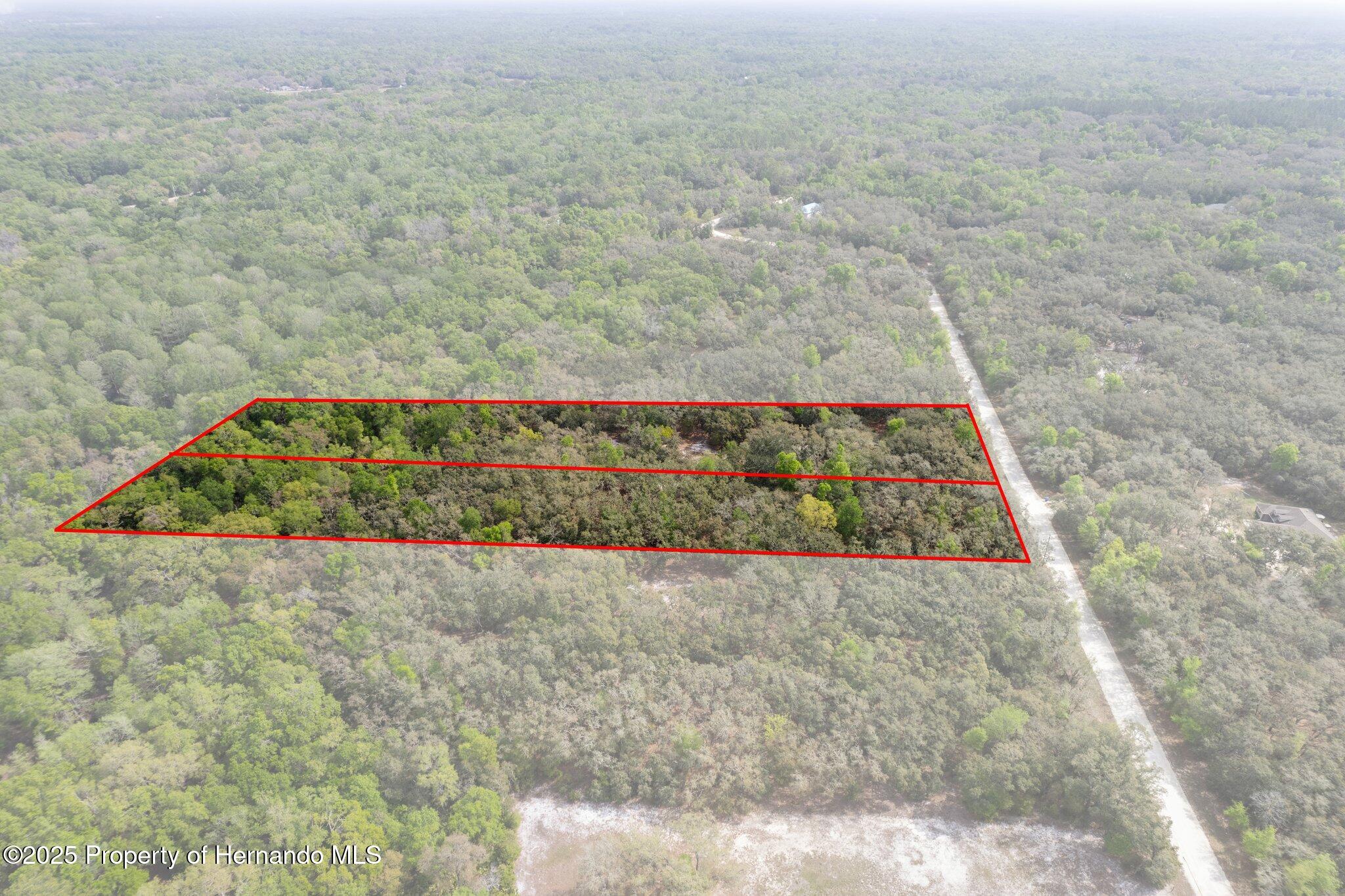 0 Rimrock Street Webster, FL 33597 - Photo 10 of 25