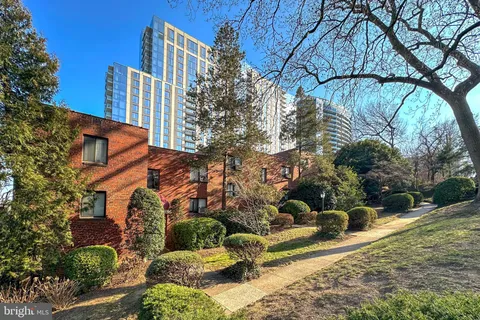 a view of a yard with plants and trees