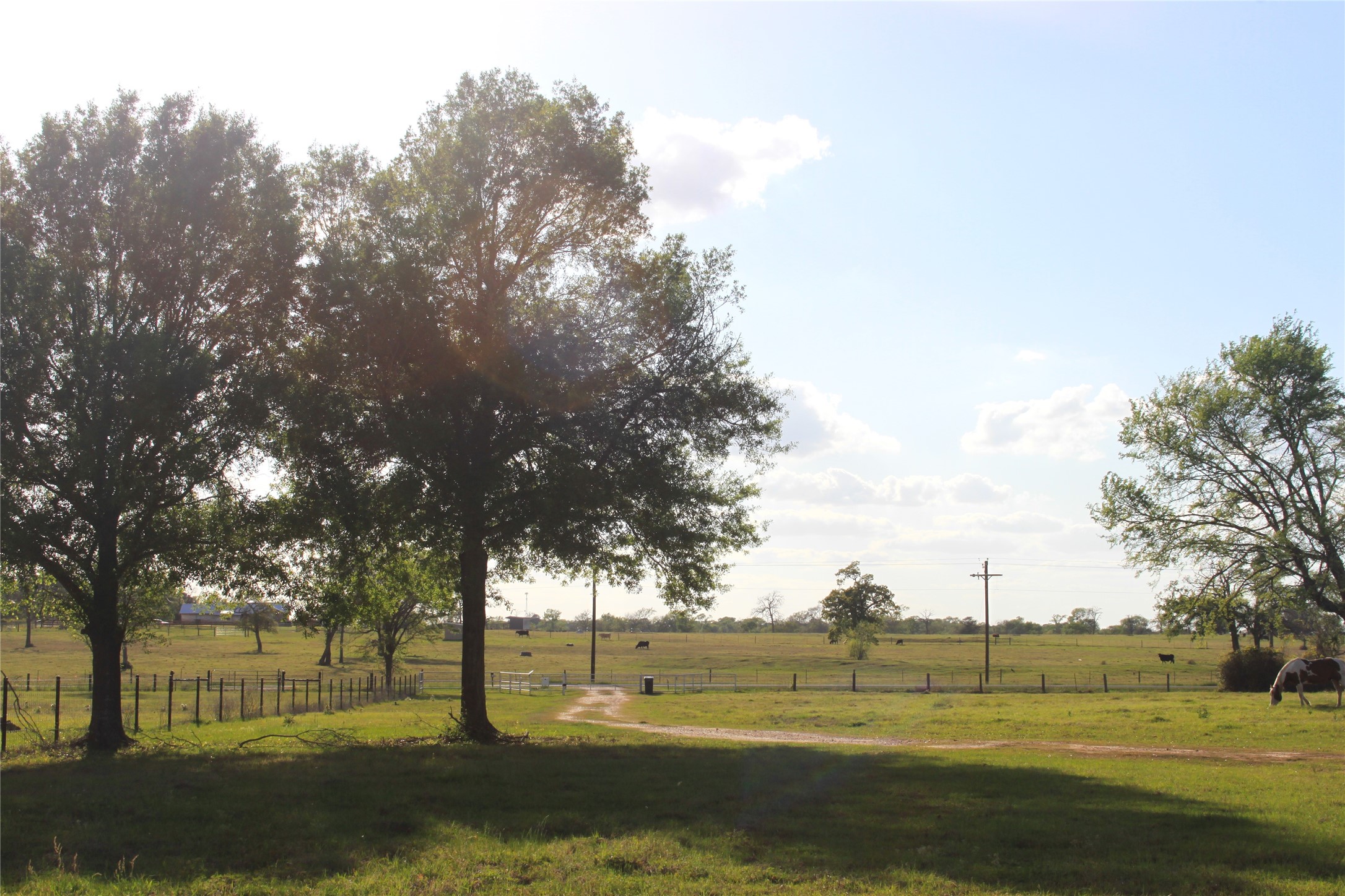 27134 Muckelroy Road Hempstead, TX 77445 - Photo 4 of 9