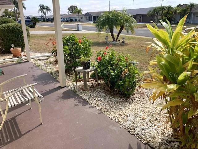 a view of a yard with plants