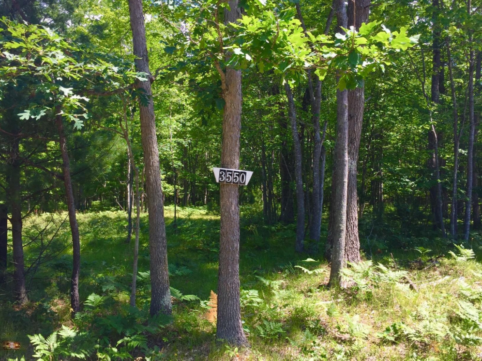 3550 Old Stronach Road Manistee, MI 49660 - Photo 26 of 31 N