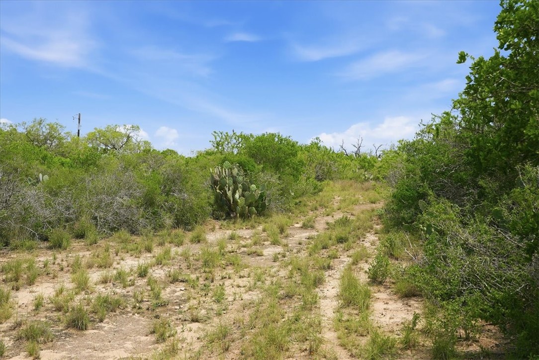 140 Choke Canyon Estates Drive Three Rivers, TX 78071 - Photo 5 of 17