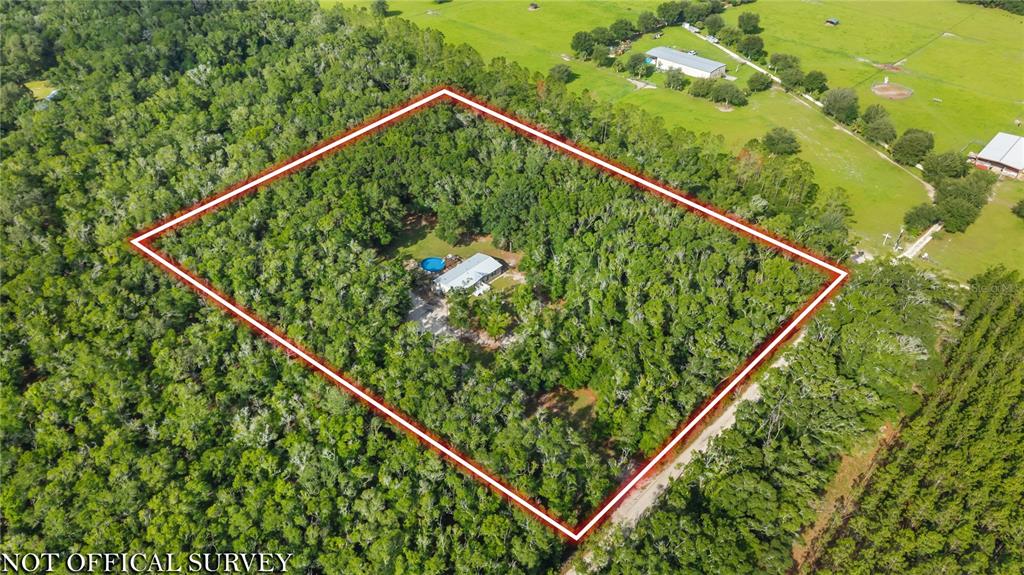 6679 Northwest 27th Place Bell, FL 32619 - Photo 55 of 55