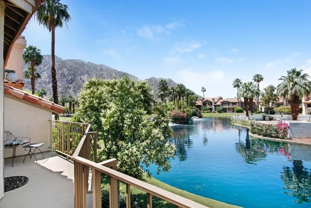 a view of a lake with a palm tree