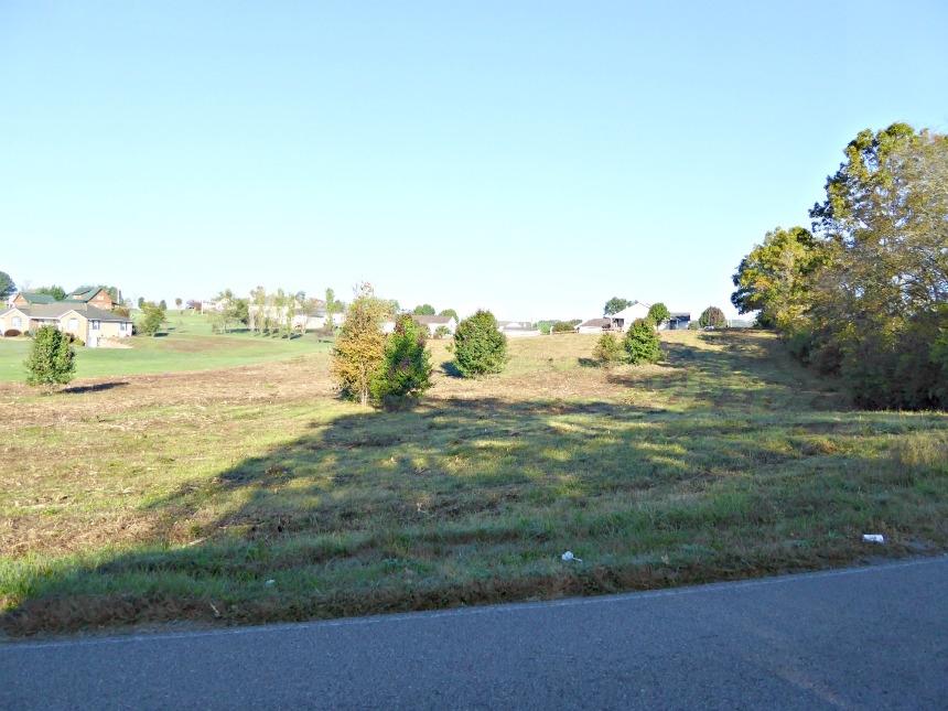 Lot 6 Burchfield Road Dandridge, TN 37725 - Photo 1 of 7 P1000178