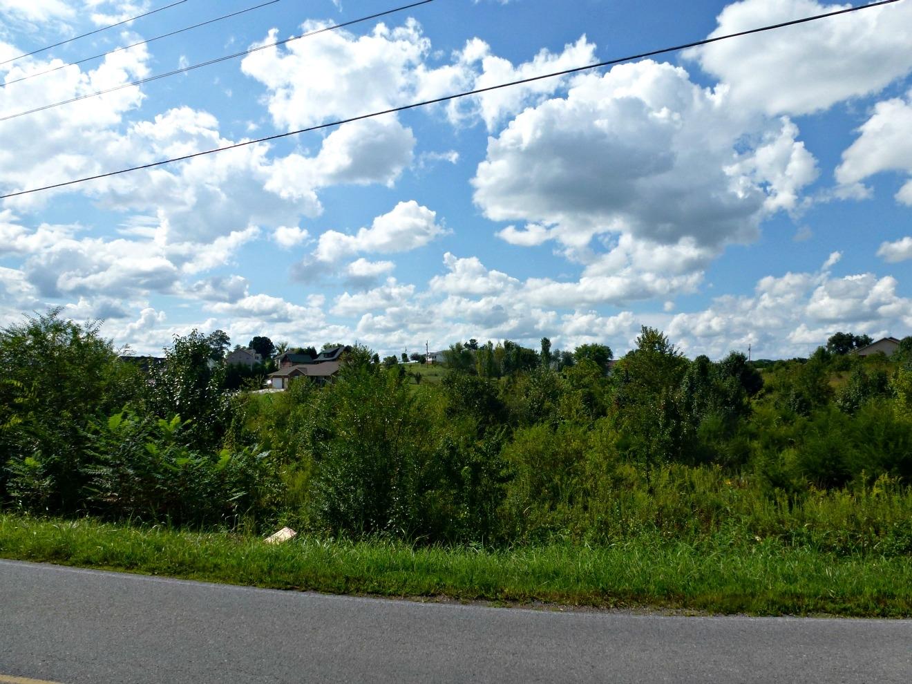 Lot 6 Burchfield Road Dandridge, TN 37725 - Photo 4 of 7 P1140721
