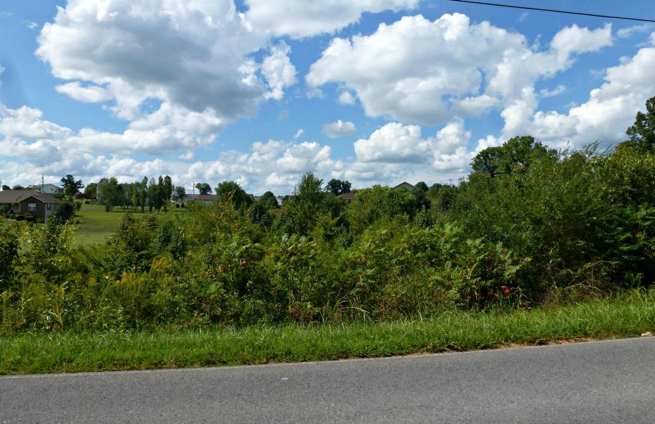 Lot 6 Burchfield Road Dandridge, TN 37725 - Photo 5 of 7 P1140722