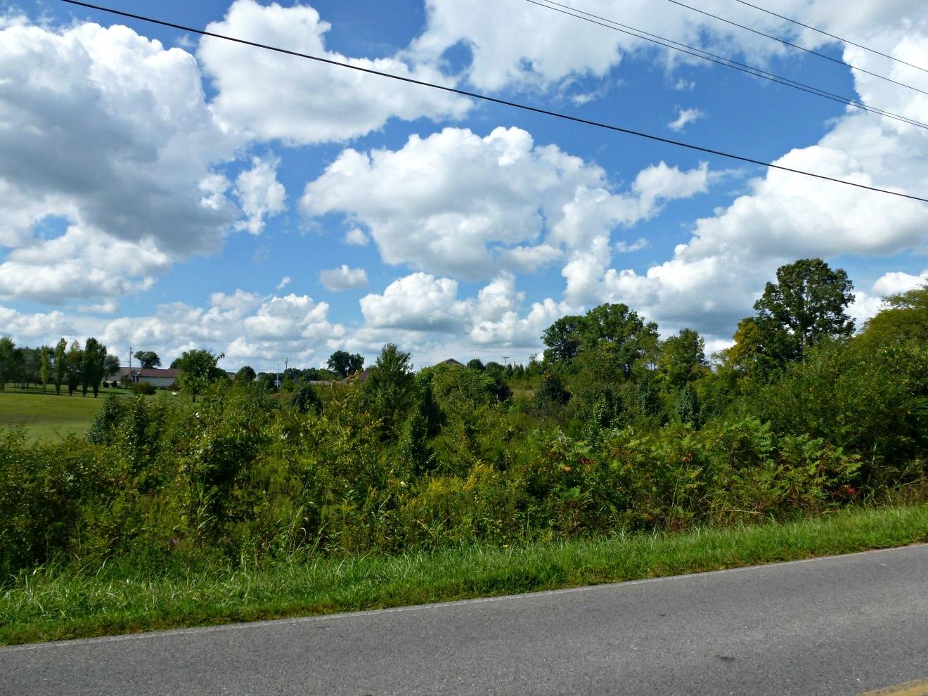 Lot 6 Burchfield Road Dandridge, TN 37725 - Photo 6 of 7 P1140723