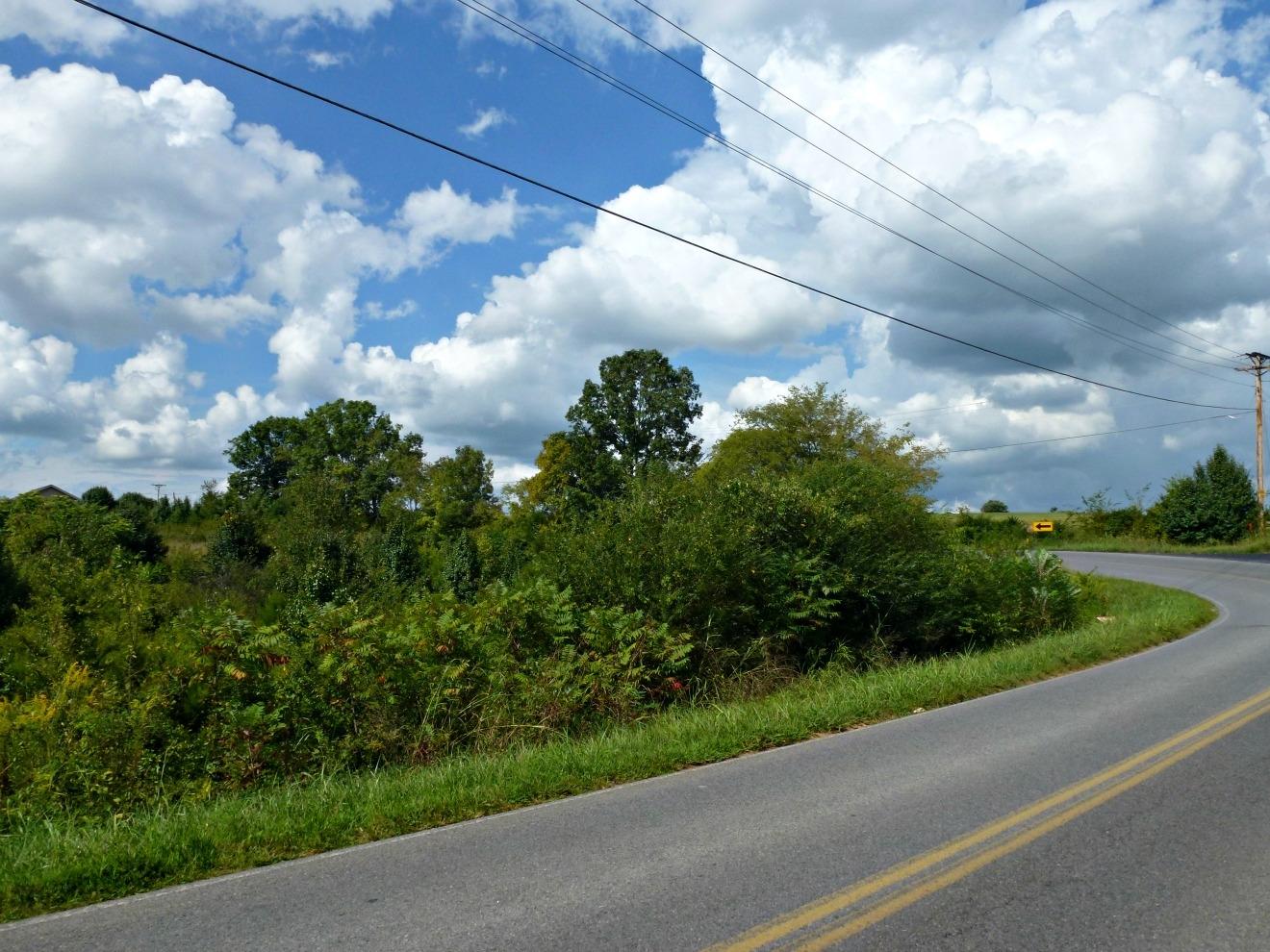 Lot 6 Burchfield Road Dandridge, TN 37725 - Photo 7 of 7 P1140724