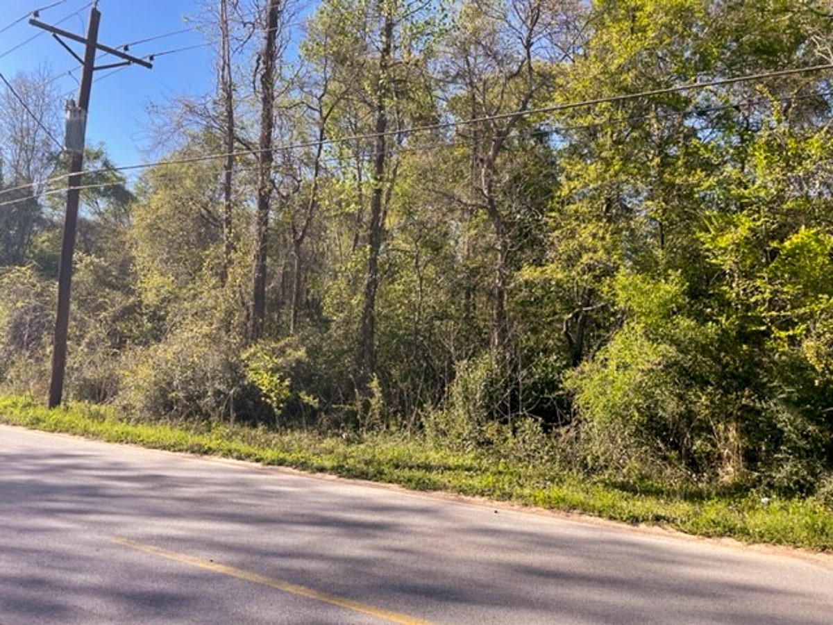 1 Sleepy Hollow Road Conroe, TX 77385 - Photo 10 of 10