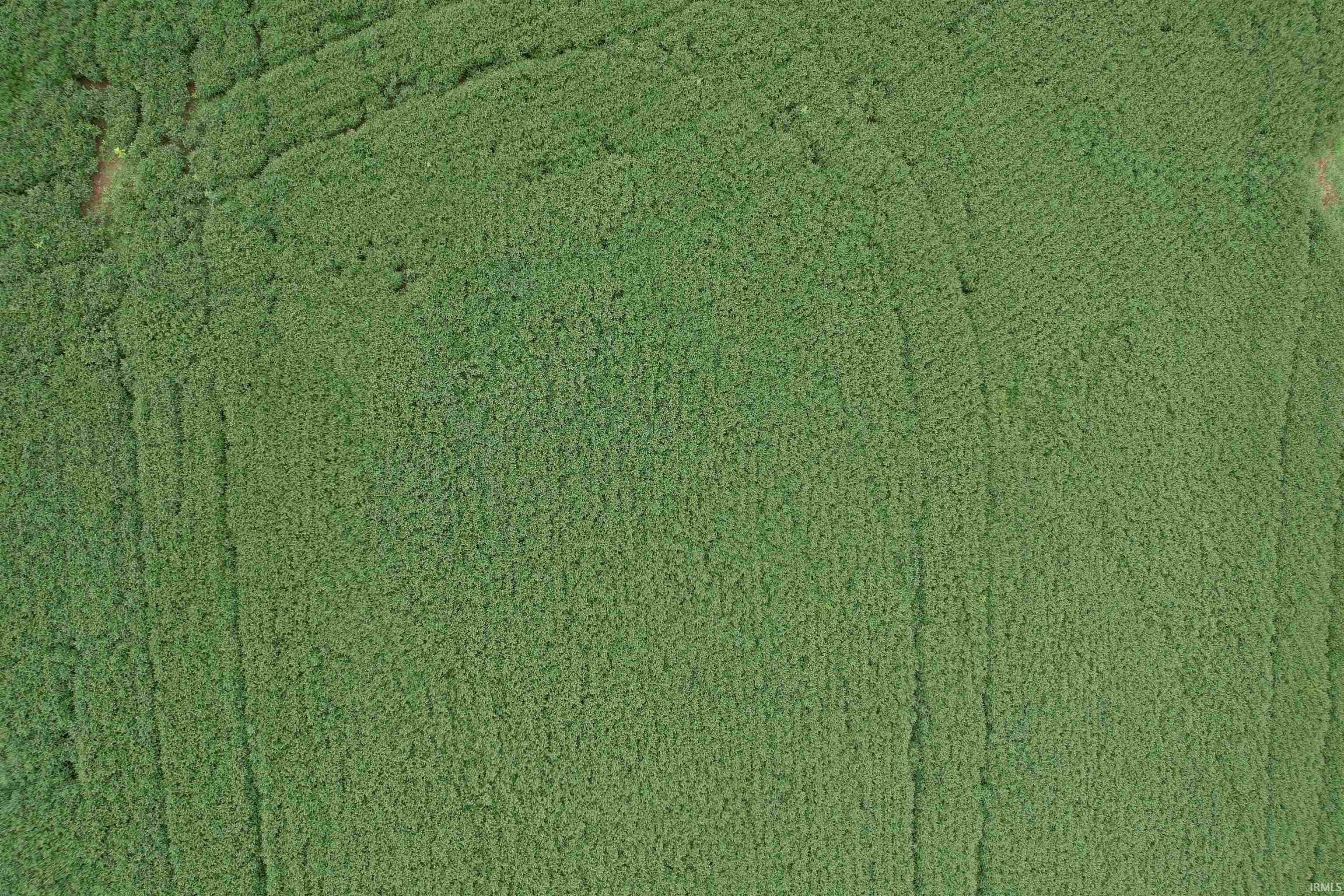 Ziegler Road Loogootee, IN 47553 - Photo 6 of 7