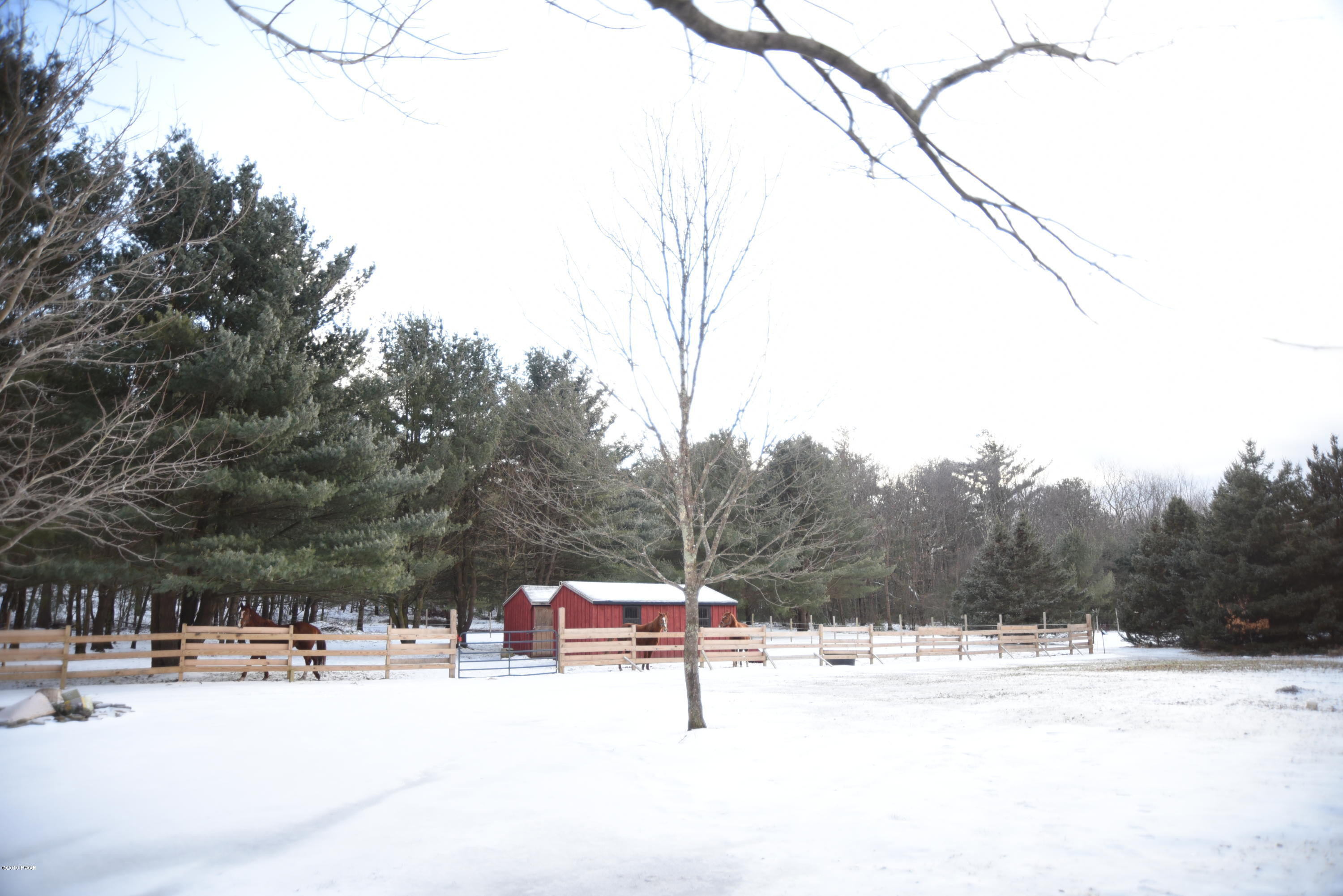 356 Springbrook Road Shohola, PA 18458 - Photo 45 of 53 View of Barns
