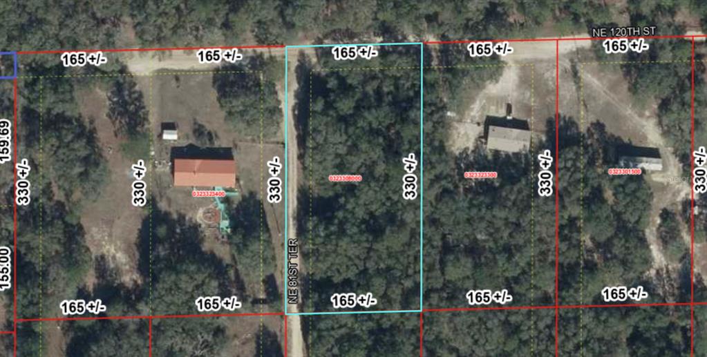 Tbd Northeast 120th Street Bronson, FL 32621 - Photo 3 of 7