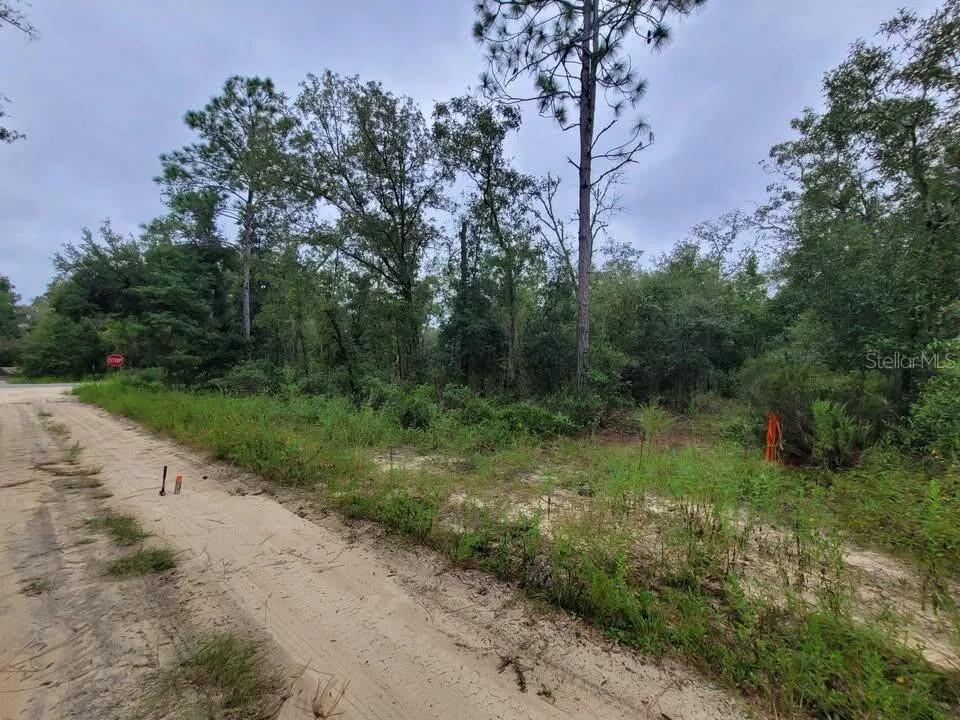 Tbd Northeast 120th Street Bronson, FL 32621 - Photo 4 of 7