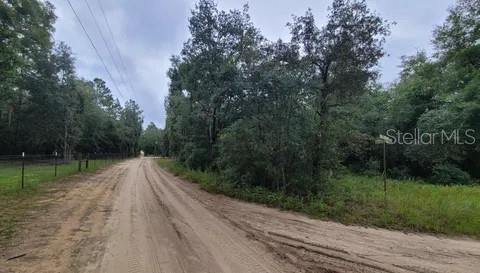 Tbd Northeast 120th Street Bronson, FL 32621 - Photo 5 of 7