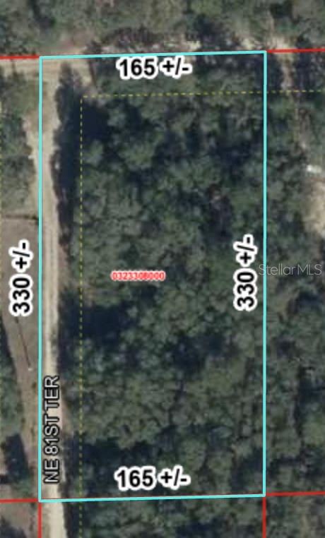 Tbd Northeast 120th Street Bronson, FL 32621 - Photo 7 of 7