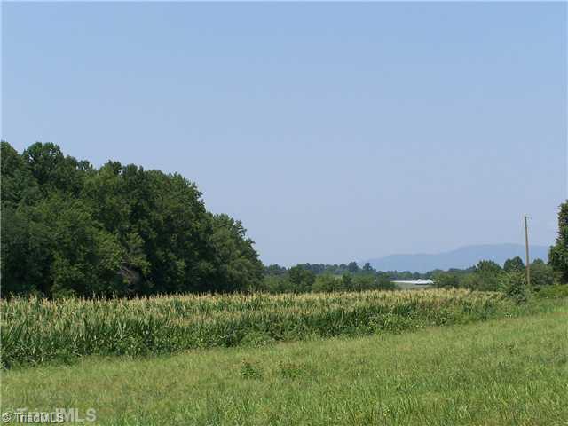 0 Dobbins Mill Road Elkin, NC 28621 - Photo 3 of 8 Land/Lot. View of the Blue Ridge