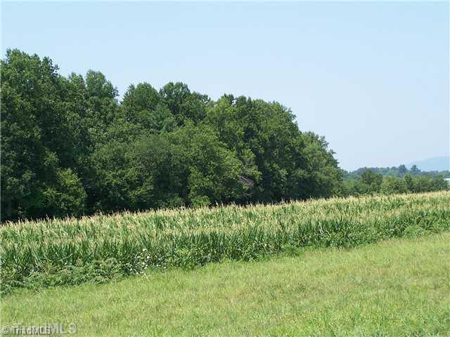 0 Dobbins Mill Road Elkin, NC 28621 - Photo 4 of 8 Land/Lot. Leased for crops