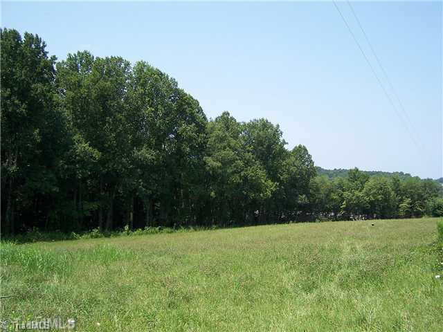 0 Dobbins Mill Road Elkin, NC 28621 - Photo 6 of 8 Land/Lot. Approx 3 acres wooded