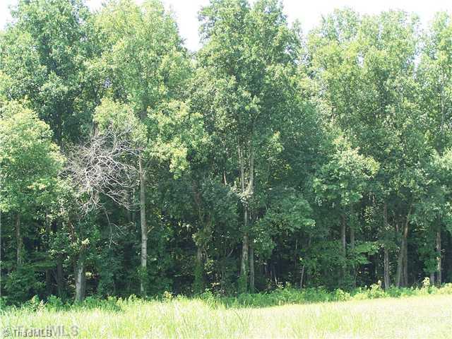 0 Dobbins Mill Road Elkin, NC 28621 - Photo 8 of 8 Land/Lot.