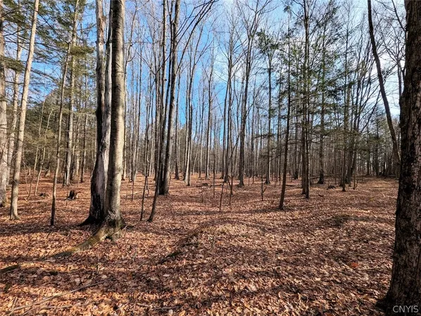 $32,900 | South Road, Addison, NY 14801