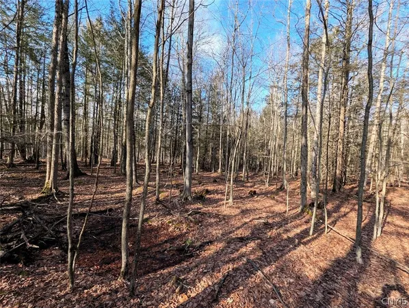$32,900 | South Road, Addison, NY 14801