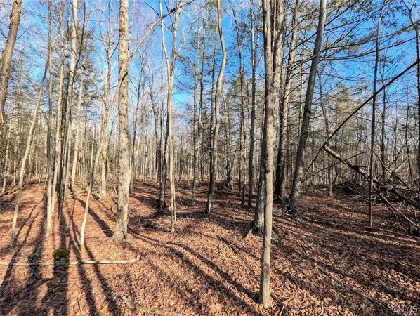 $32,900 | South Road, Addison, NY 14801