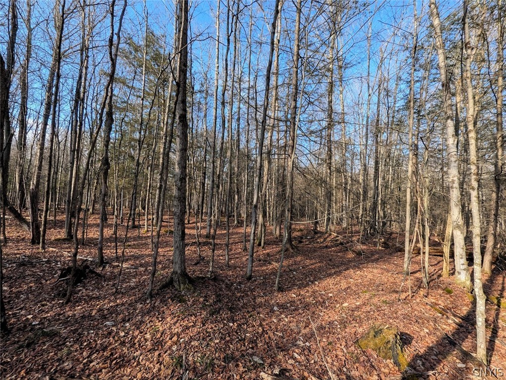 South Road Addison, NY 14801 - Photo 13 of 21