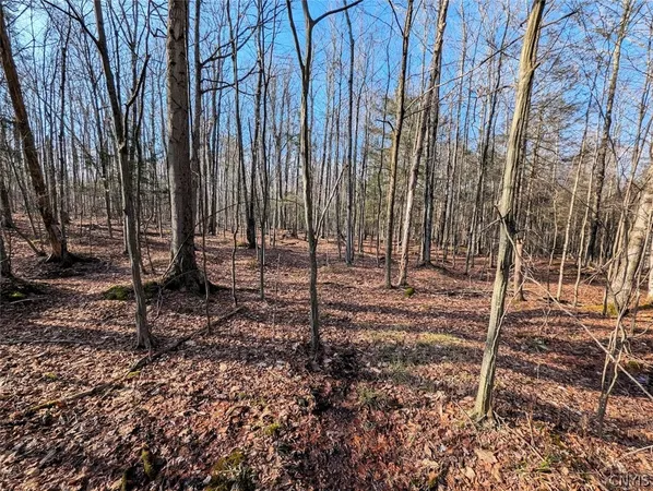 $32,900 | South Road, Addison, NY 14801