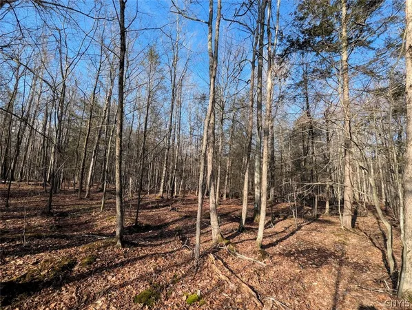 $32,900 | South Road, Addison, NY 14801