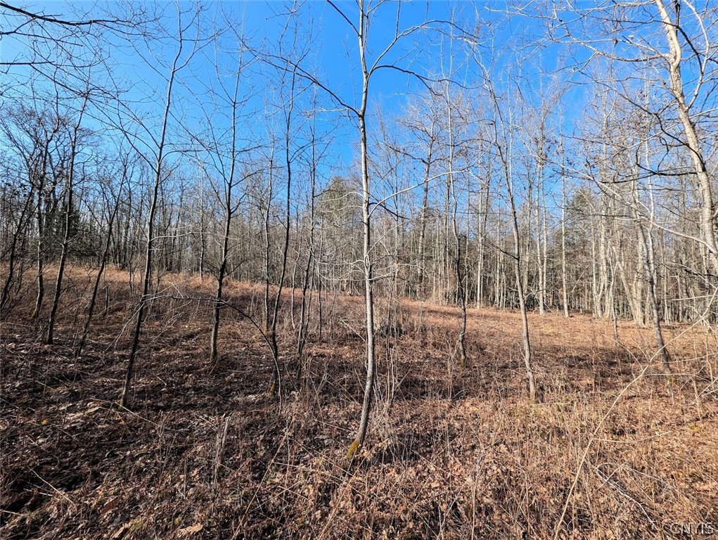 South Road Addison, NY 14801 - Photo 16 of 21