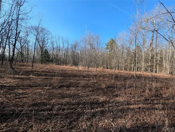 $32,900 | South Road, Addison, NY 14801