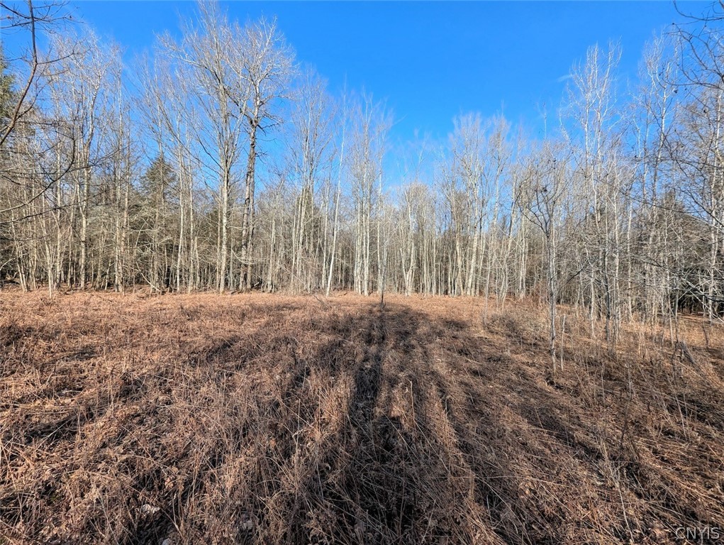 South Road Addison, NY 14801 - Photo 18 of 21