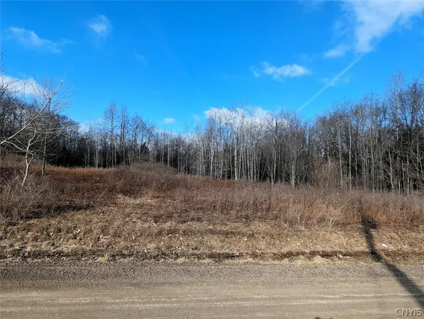 $32,900 | South Road, Addison, NY 14801