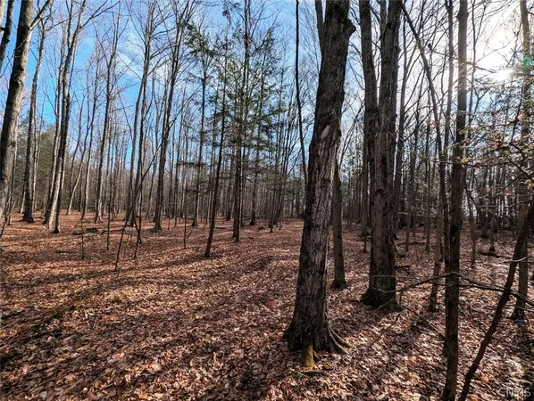 $32,900 | South Road, Addison, NY 14801