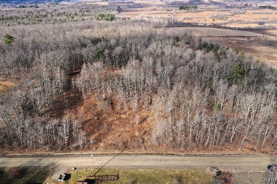 South Road Addison, NY 14801 - Photo 4 of 21