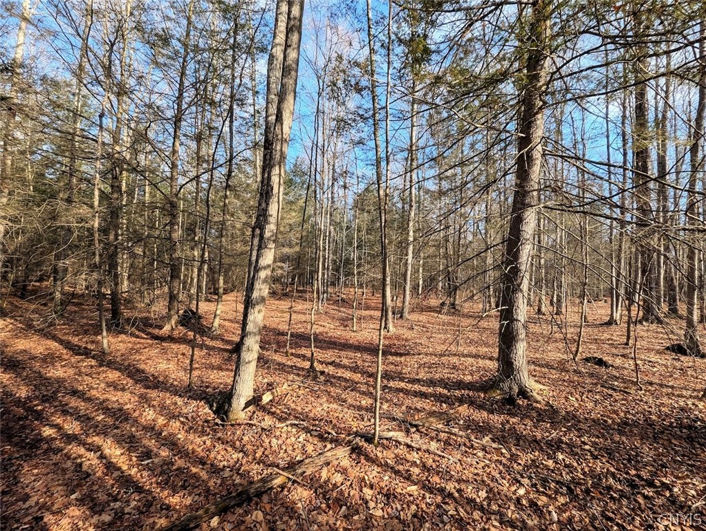 South Road Addison, NY 14801 - Photo 6 of 21