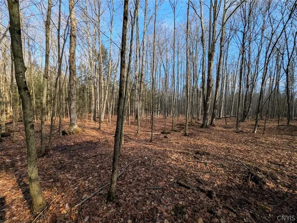 $32,900 | South Road, Addison, NY 14801