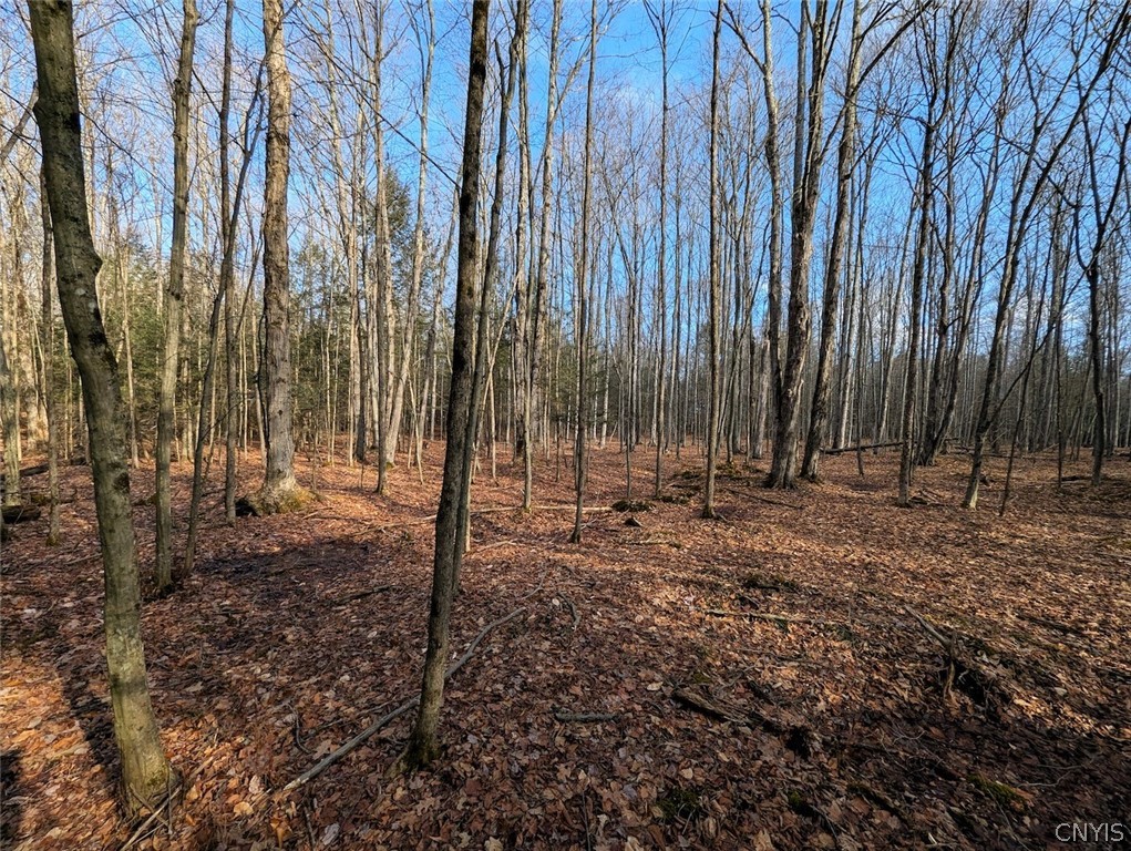 South Road Addison, NY 14801 - Photo 7 of 21