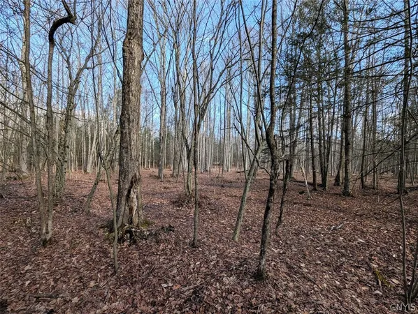 $32,900 | South Road, Addison, NY 14801