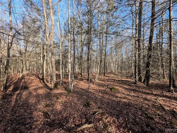 $32,900 | South Road, Addison, NY 14801