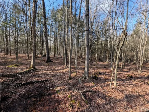 $32,900 | South Road, Addison, NY 14801