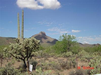 7400 West Ina Road, Unit LOT3E Tucson, AZ 85743 - Photo 1 of 3