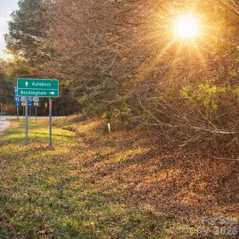 $1,375,000 | 0 Spies Road, Star, NC 27356