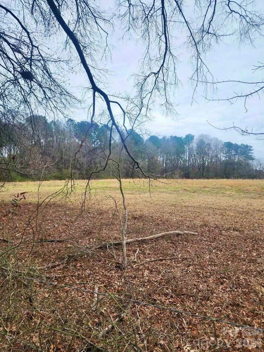 0 Spies Road Star, NC 27356 - Photo 2 of 6